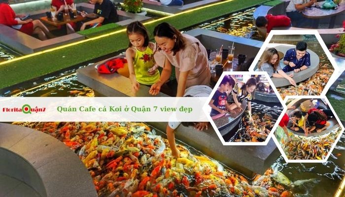 Top 3 quán Cafe cá Koi ở Quận 7 view đẹp, hot nhất
